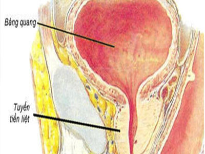 Hậu quả khi nam giới “tự sướng”
