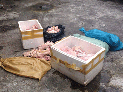 Hà Nội: Phát hiện gần 200 kg gầu bò thối suýt vào quán phở