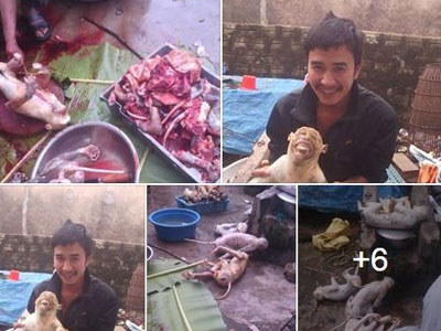 Công an xác minh nam thanh niên khoe giết khỉ trên Facebook