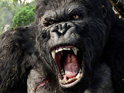 Cục trưởng Cục Điện ảnh: "King Kong đến, ta được gì?"