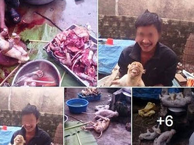 Triệu tập nam thanh niên đưa ảnh khỉ bị giết lên facebook