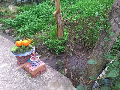 Đâm chết hàng xóm chỉ vì… tưới cây bằng phân xanh