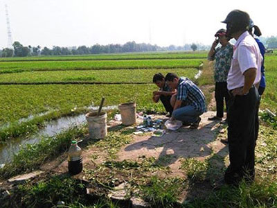 Ăn rau muống tưới nhớt thải bị bệnh gì?