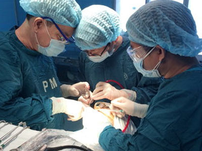Bệnh viện Việt Đức tìm người sẵn sàng ghép đầu