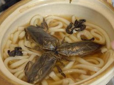 Chủ nhà hàng trả lời "bá đạo" khi khách tố có gián trong đồ ăn