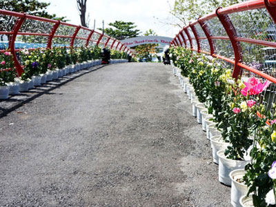 Đại gia cưới con gái 14 tỷ xây dựng công trình không phép