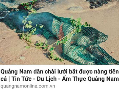 Xử phạt đối tượng đưa tin bắt được "nàng tiên cá" ở Quảng Nam