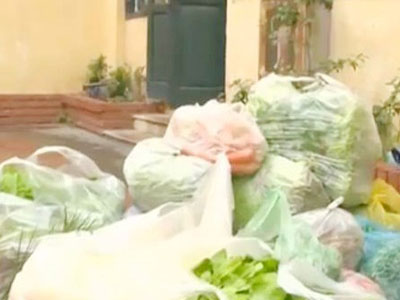 Sở Giáo dục Hà Nội lên tiếng vụ tuồn rau "bẩn" vào trường
