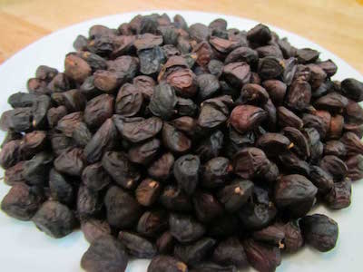 Săn hạt dổi rừng 4 triệu/kg: Nhà giàu dậy hương ngày Tết
