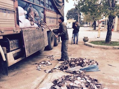 Xe tải chở 20 tấn mực khô phân hủy hôi thối ra Hà Nội tiêu thụ