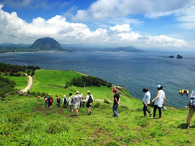Vụ 59 du khách Việt mất tích tại đảo Jeju: Đủ chiêu trốn làm lao động chui