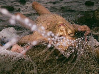 9x không sợ bị ném đá khi chụp ảnh nude bảo vệ môi trường