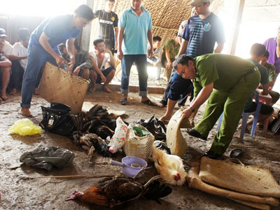 Thu giữ gần 1 tỷ đồng trong sới đá gà ở miền Tây