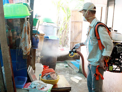 Việt Nam có muỗi truyền bệnh Zika, nguy cơ bùng phát dịch
