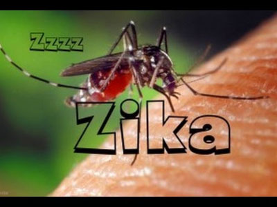 Virus ăn não người nguy hiểm như thế nào khi vào Việt Nam?