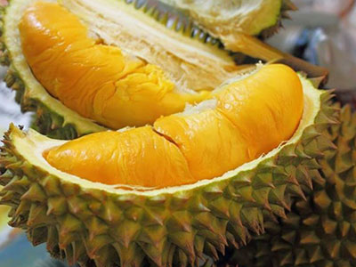Sầu riêng chữa bệnh “sầu chung” đôi lứa