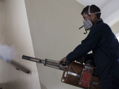 Virus Zika có thể lây nhiễm từ người sang người qua đường tình dục