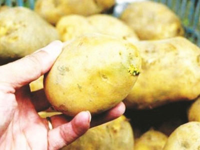 Những thực phẩm Tết dễ gây ngộ độc