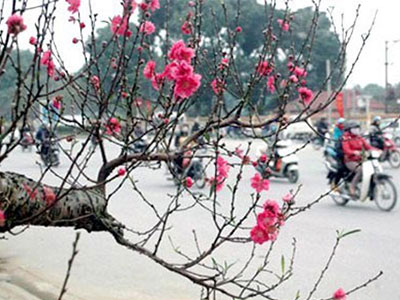 Thời tiết nắng ấm từ mùng 1 đến mùng 3 Tết Nguyên đán Bính Thân