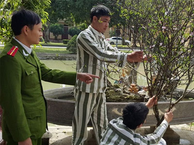 Tết của tử tù - Nơi chẳng ai muốn một lần… sống thử