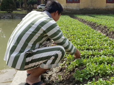 Chốn biệt giam, tử tù đón Tết như thế nào?