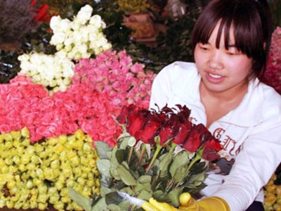 "Cháy" hoa hồng ngày lễ Tình nhân