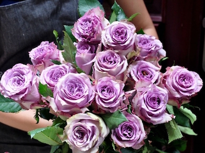 250.000 đồng một cành hoa hồng dài 1,6m ngày Valentine