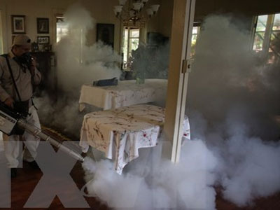 Một phụ nữ Mexico nhiễm virus Zika vẫn sinh con khỏe mạnh