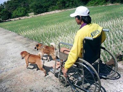 Clip: Đàn chó kéo xe cho chủ khuyết tật ở Quảng Ngãi