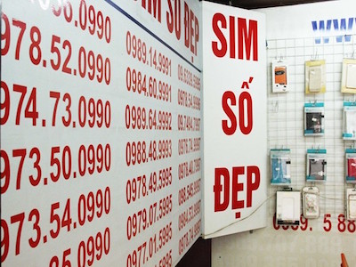 Sim "siêu đẹp" 9 con 8 sẽ được đấu giá