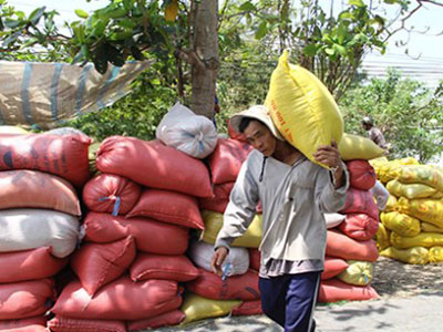 Gạo Việt Nam mang thương hiệu… Trung Quốc