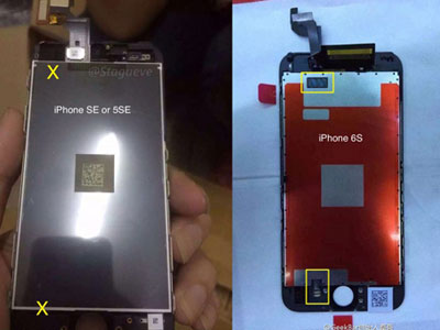 Màn hình iPhone 5se lộ ảnh, không có 3D Touch
