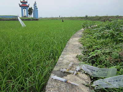 Nông dân hoang mang vì kim tiêm vương máu đầy đồng