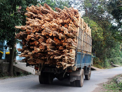 Thanh tra giao thông đi tuần, có người điện báo trước