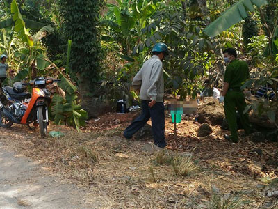 Ảnh bìa bài viết 347070