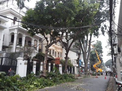Hà Nội mua xe cắt tỉa cây 1,5 tỷ đồng