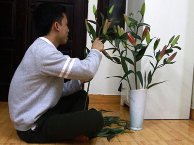 Ảnh bìa bài viết 347546