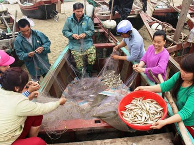 Thanh Hóa báo cáo Trung ương vụ Sầm Sơn