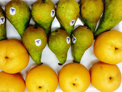 Lê ngoại tràn ngập thị trường