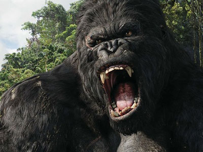 Nhà sản xuất Kong: Skull Island gửi thư cảnh báo truyền thông VN