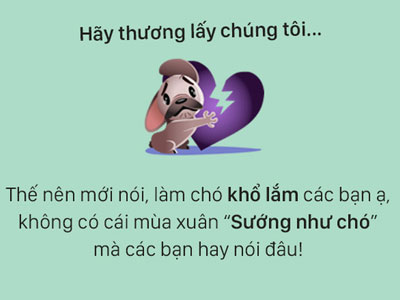 Tâm sự đầy đau khổ của một chú chó