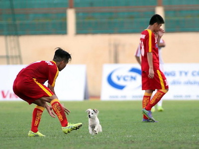 Chó cắn cầu thủ U19 bị thương, bác sỹ phải "giải cứu"