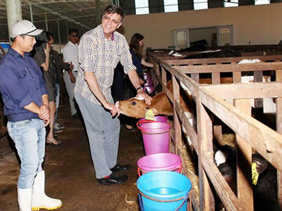 Vì sao Hoàng Anh Gia Lai "đứt gẫy dòng tiền"