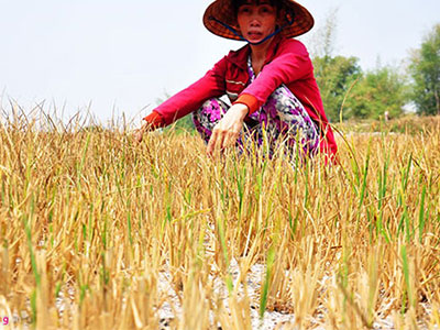 Dân Kon Tum đổ xô đào ao, khoan giếng chống hạn