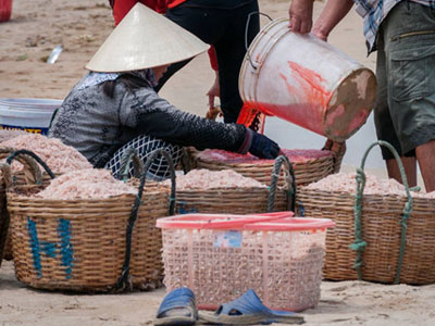 Tẩm màu cho ruốc: Công an vào cuộc điều tra, xác minh
