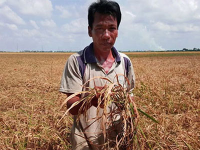 Hạn hán khốc liệt, giá dầu thô giảm đẩy kinh tế vào khó khăn