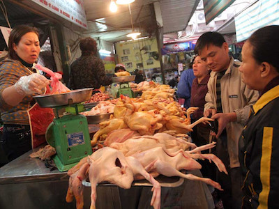 Mở cửa cho gà Trung Quốc tràn vào: Mối lo thịt "rác"