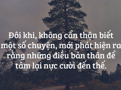 Những câu nói ý nghĩa về cuộc sống bạn nên đọc 1 lần trong đời