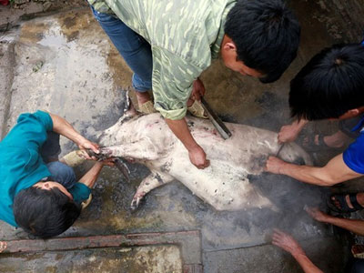 "Không ngạc nhiên khi Lai Châu nghèo nhưng đắt đỏ nhất nước"