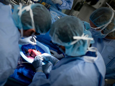 Ca ghép tạng đầu tiên cho người nhiễm HIV